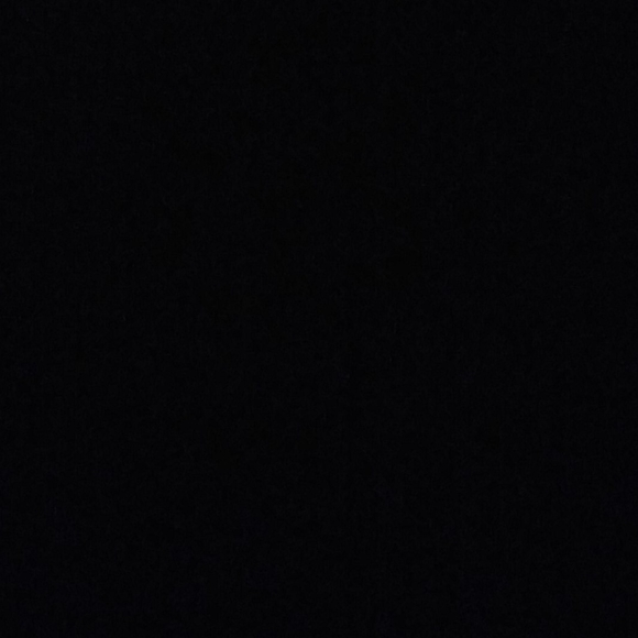 Meet your Posher, Hazel - Picture 1 of 1